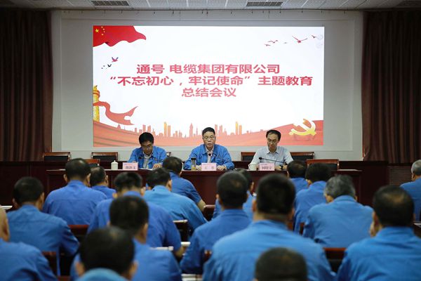 电缆集团党委召开“不忘初心、牢记使命”主题教育总结会议
