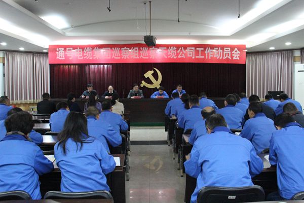 电缆集团党委巡察组进驻天缆公司开展巡察工作